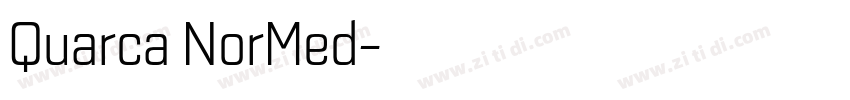Quarca NorMed字体转换